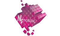 Nsmosaic
