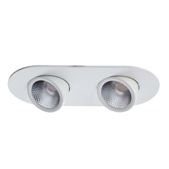 Встраиваемый спот, вид современный Cardani Arte Lamp цвет:  белый - A1212PL-2WH