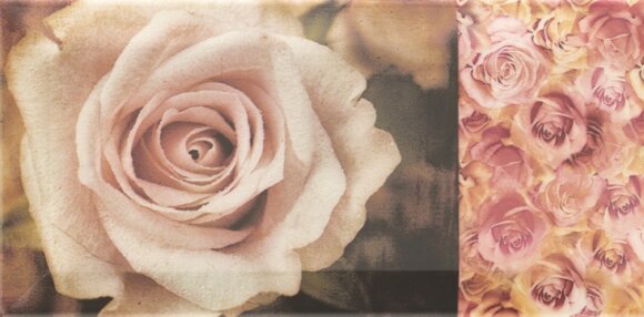 Декор Decor flower 10x20 Mainzu ARKADIA арт. 78792847