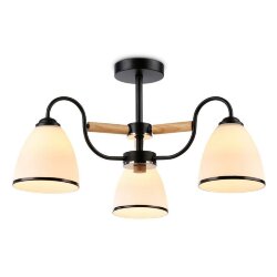 Потолочная люстра Traditional Modern модерн TR3033241, Ambrella light цвет: белый
