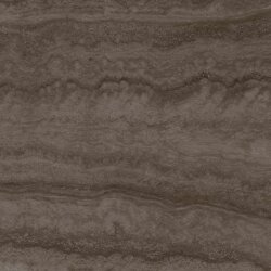 Керамогранит Forvm Brown 60x60 (PAMESA,Испания) УТ-00026137 Керамогранит Forvm Brown 60x60 (PAMESA,Испания) УТ-00026137