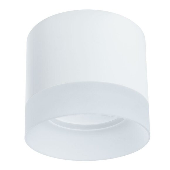 Потолочный светильник, вид современный Castor Arte Lamp цвет:  белый - A5554PL-1WH