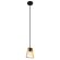 Подвесной светильник, вид современный Brussels Arte Lamp цвет:  дерево - A8030SP-1BK