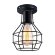 Потолочный светильник, вид современный 1109 Arte Lamp цвет:  черный - A1109PL-1BK