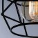 Потолочный светильник, вид современный 1109 Arte Lamp цвет:  черный - A1109PL-1BK