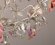 Потолочная люстра Suzanne флористика SX0730/8, Abrasax цвет: кремовый