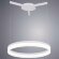 Подвесной светодиодный светильник, вид современный 2504 Arte Lamp цвет:  белый - A2504SP-1WH