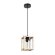 Подвесной светильник, вид эко Dublin Arte Lamp цвет:  дерево - A7025SP-1BK