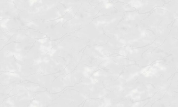 Обои spring (1x6) 10,05х1,06 винил на флизелине Grandeco - surR148003