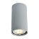 Потолочный светильник, вид современный 1516 Arte Lamp цвет:  серый - A1516PL-1GY