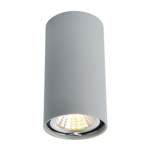 Потолочный светильник, вид современный 1516 Arte Lamp цвет:  серый - A1516PL-1GY