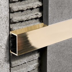 Профиль латунный PROLISTEL P OTT PLTPOL 25