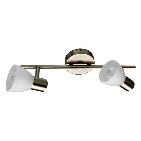 Спот, вид лофт Parry Bronze Arte Lamp цвет:  белый - A5062AP-2AB