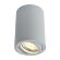 Потолочный светильник, вид минимализм 1560 Arte Lamp цвет:  серый - A1560PL-1GY