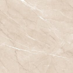 Керамогранит  Alma Ceramica Pulpis  60x60 арт. GFU04PLP04R Россия Керамогранит  Alma Ceramica Pulpis  60x60 арт. GFU04PLP04R Россия