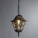 Уличный подвесной светильник, вид замковый Berlin Arte Lamp цвет:  коричневый - A1015SO-1BN
