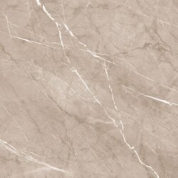 Керамогранит  Alma Ceramica Pulpis  60x60 арт. GFU04PLP40R Россия Керамогранит  Alma Ceramica Pulpis  60x60 арт. GFU04PLP40R Россия