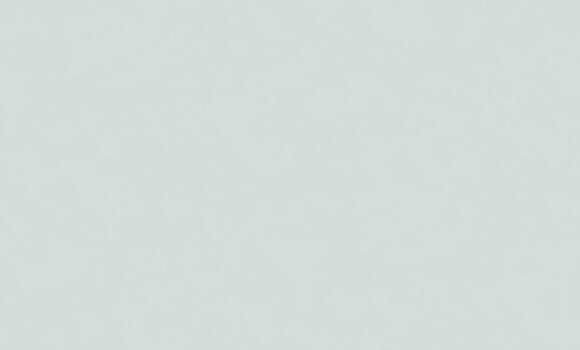 Обои spring (1x6) 10,05х1,06 винил на флизелине Grandeco - surR149005