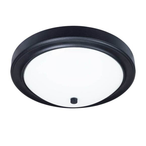 Потолочный светильник, вид современный James Arte Lamp цвет:  черный - A4049PL-3BK