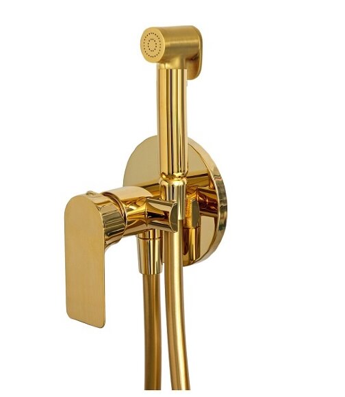 Гигиенический душ со смесителем Remer Infinity I65WDO, цвет: золото