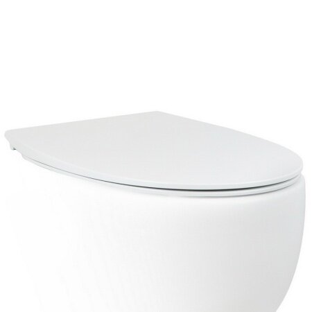 Крышка-сиденье для унитаз c микролифтом SoftClose белый Dot 2.0 AeT, арт. C555R100