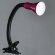 Настольная лампа, вид современный Cord Arte Lamp цвет:  розовый - A1210LT-1MG