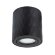 Потолочный светильник, вид современный Fang Arte Lamp цвет:  черный - A5559PL-1BK