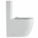 Унитаз компакт (620x360x810), W-7789 P-trap, Geberit, Rimless, anti-dirt, Black&White арт. 7789W