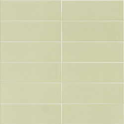 Jungle Mint 10х30 MAINZU арт. УТ-00025149