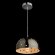 Подвесной светильник, вид хай-тек 24 Arte Lamp цвет:  хром - A4084SP-1CC