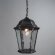 Уличный подвесной светильник, вид замковый Genova Arte Lamp цвет:  черный - A1205SO-1BS