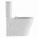 Унитаз компакт (620x360x810), W-7789 P-trap, Geberit, Rimless, anti-dirt, Black&White арт. 7792W
