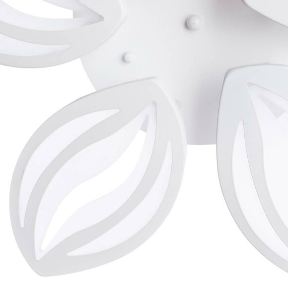 Потолочная светодиодная люстра, вид современный Daisy Arte Lamp цвет:  белый - A1098PL-5WH