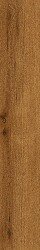 Керамогранит Atlas Concorde Russia Verity Cognac 610010001420 20x120