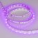 Светодиодная лента 4,8W/m 60LED/m 2835SMD розовый 5M Arlight - 013571(2)