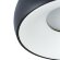 Потолочный светильник, вид современный Heze Arte Lamp цвет:  черный - A6665PL-1BK