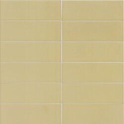 Jungle Sunset 10х30 MAINZU арт. УТ-00025146