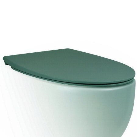 Крышка-сиденье для унитаза c микролифтом SoftClose зеленый Dot 2.0 AeT, арт. C555R143