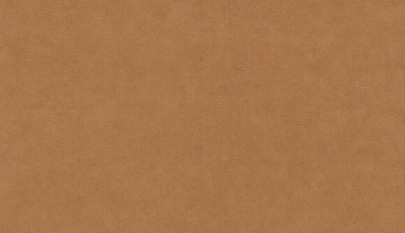 Обои grand safari (1x1) 2 10,05x0,53 винил на флизелине BN - surBN 220505