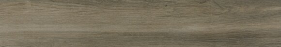 Купить Керамогранит Rainier Taupe 20x120 (PAMESA,Испания) УТ-00008412 в Москве