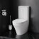 Унитаз-компакт Inspire AM.PM, арт. C508607WH цвет: белый
