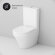 Унитаз-компакт Inspire AM.PM, арт. C508607WH цвет: белый