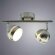 Светодиодный спот, вид современный Venerd Silver Arte Lamp цвет:  серебро - A6009PL-2SS