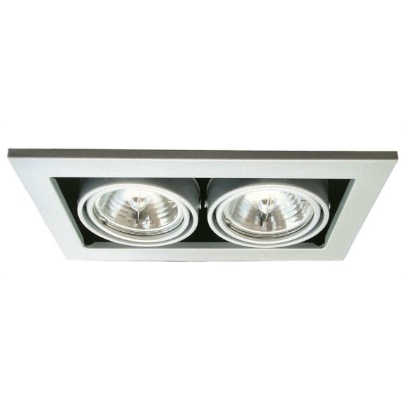 Встраиваемый светильник, вид хай-тек Technika Arte Lamp цвет:  серебро - A5930PL-2SI
