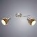 Спот, вид лофт Illusione Arte Lamp цвет:  коричневый - A6125AP-2SS