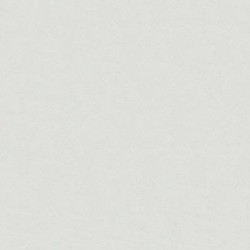 Kerama Marazzi Петергоф SG154400N 40,2x40,2 - керамическая плитка и керамогранит