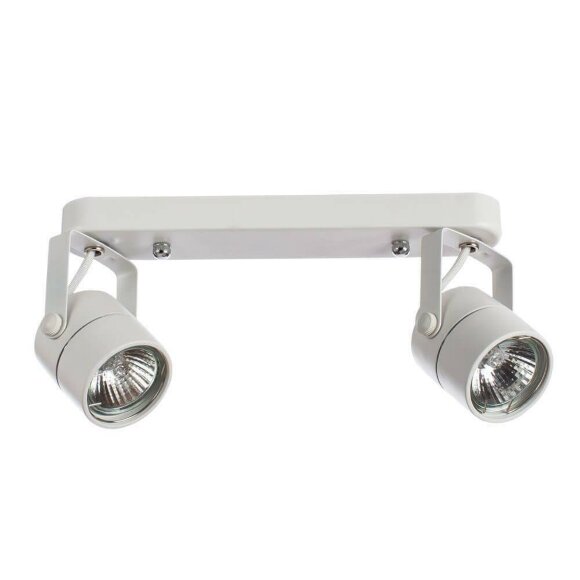 Спот, вид современный Lente White Arte Lamp цвет:  белый - A1310PL-2WH
