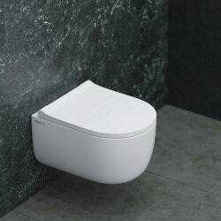 Унитаз подвестной real rimless 49см, сиденье дюропласт toma slim so, микролифт, быстросьем Ego Berges арт. 082111RR