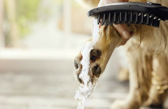 Hansgrohe душ для собак с массажной струей, DogShower, матовый черный арт. 26640670