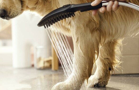 Hansgrohe душ для собак с массажной струей, DogShower, матовый черный арт. 26640670